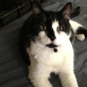 Meet your Posher, Lana